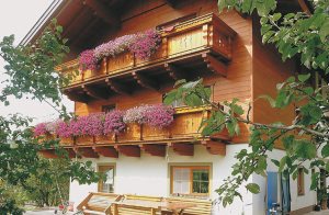 I Großarltal ligger denne bondegård smukt placeret i det grønne landskab. På 2. etage finder I denne ferielejlighed, der er indrettet med store, lyse rum og pænt møblement. Fra balkonen har I e ...