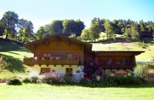 I dette hyggelige hus ligger vores to lejligheder på 1. sal lige uden for byen Mühlbach am Hochkönig. Det er et fantastisk udgangspunkt for dejlige vandreture og forskellige aktiviteter. Terrasse ...