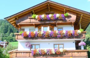 Denne hyggelig og flot indrettede lejlighed ligger i Tyrols vel nok smukkeste dal. Fra det nyrenoverede hus har I en skøn udsigt. Mulighed til Morgenbrødservice. ...