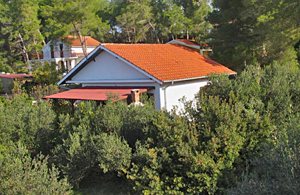  Dette lille hus er omgivet af oliventræer og har en stor, overdækket terrasse med grillplads. På varme sommerdage kan I tage en dukkert i det klare havvand i bugten Gradina eller gå lange spadser ...