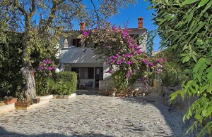  Denne komfortable ferielejlighed ligger i et hus med en flot have i en lille by, hvor naturen er så smuk og blomsterrig som ingen andre steder. Egnen er kendt or sine talrige skønne strande, samt a ...