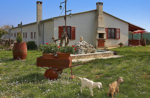  Disse hyggelige ferielejligheder med udsigt over landskabet er ideel for dem, der søger ro, og når det ikke er så vigtigt, at der er en strand i nærheden. De er et godt udgangspunkt for naturelsk ...