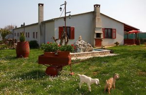  Denne hyggelige ferielejlighed med udsigt over landskabet er ideel for dem, der søger ro, og når det ikke er så vigtigt, at der er en strand i nærheden. Den er et godt udgangspunkt for naturelske ...