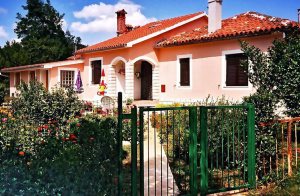  Denne ferielejlighed ligger i et hyggeligt hus i den lille by Santalezi nær Labin. Lejligheden blev renoveret i 2009, og er indrettet enkelt og funktionelt. Foran huset ligger der en utrolig flot bl ...