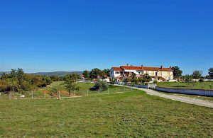  I Istriens maleriske bagland ligger denne enkle, men praktiske lejlighed på et nyrenoveret landsted med en stor grund. Huset er et perfekt udgangspunkt for vandringer og cykelture. I er også meget  ...