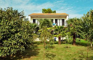  I en rolig sidegade finder I denne dejlige rummelige ferielejlighed. Den lokale sandstrand ligger kun få minutters kørsel herfra. I den skønne og smukt beplantede have kan I tilbringe hyggelige st ...