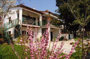  Denne skønne feriebolig ligger i Pjecana Uvala tæt på den rømerske by Pula. I den nærliggende by Verudela er der mange restauranter, skønne strande og åbne terrasser med live musik. Boligen er ...