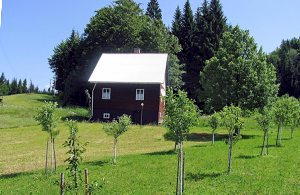  Dette ældre hus i Gorski Kotar er blevet istandsat for nylig. Huset er smagfuldt indrettet og meget komfortabelt. Her er der også plads til større familier eller grupper af venner. Huset er på al ...