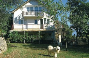  Disse dejlige store ferielejligheder ligger på en stor naturgrund, hvor børn kan lege uforstyret mens de voksne slapper af. Krk er landets største ø og har broforbindelse med fastlandet. Landet h ...