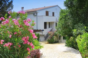  Funktionel og smagfuldt indrettet lejlighed i et parcelhus med stor have. Alle lejligheder i huset har en grill i haven, hvor du kan lave lækker fisk og kødspecialiteter. Minimum lofthøjde 160 cm. ...