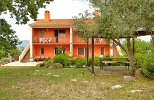  Dette nyrenoverede sommerhus er beliggende på øen Krk. Det består af to boliger som er forbundet med en udendørs trappe. Lejlighederne er moderne og ideelle til 2 familier. Haven inviterer dig ti ...