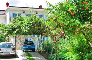  Den khyggelig indrettede lejlighed er beliggende på et smukt sted ved Kvarner-bugten. Lejligheden er ideel for par. ...