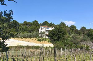  Denne feriebolig er beliggende i et roligt område på øen Rab. Ferieboligen har en stor terrasse. Omkring huset er der mange planter og blomster, som udsender en frisk duft, og stedet er ideelt for ...