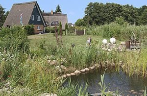  Skønt feriehus på ejers grund. Tennisbaner i Zingst, ridning i Pruchten og m.m. Trappe uden børnesikring. ...