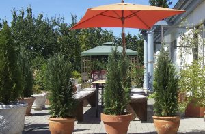 Dette smukke landhus ligger på en herregård (ca. 1400-tallet) med et slot (DMV555). Kunst og smukke ting i det maleriske landskab så langt øjet rækker. Huset er i stil med en romersk villa og ud ...