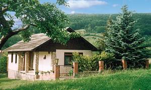  Feriehus med udsigt til Thüringer Rhöhn. Det ligger i skovrigt område, omgivet af enge. Der er børnebassin i haven. ...