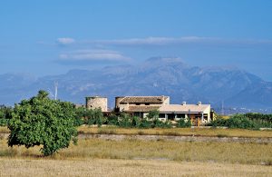  Dette velholdte og meget børnevenlige spanske landsted ligger på den frugtbare slette midt på Mallorca, mellem La Pobla og Muro. Mod nord ligger Tramuntana-bjergene og mod øst ligger nogle af Mal ...