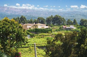  Denne pragtfulde finca ligger på Teides skråning. Her, langt fra storbyernes larm, ligger dette feriehus på et 4.500 m² stort vinbjerg i 500 meters højde. Det ligger for enden af en blind vej i  ...