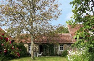  Dette rustikke hus ligger midt i en meget smuk have. Vi anbefaler et besøg til det nærliggende St. Vaast, der er kendt for sine udsøgte østers. ...