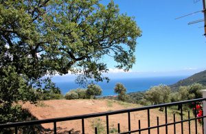  Flot, renoveret og helt nyindrettet feriehus i bakket terræn. Beliggenheden er perfekt, for der er udsigt til både havet og de omliggende skove. Udendørsområdet er under konstant forandring, og i ...