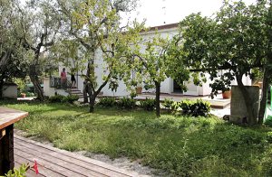  Dette hus ligger kun få km fra byen Sorrento, som er en af de mest kendte udflugtsmål på sorrentohalvøen. Ideelt udgangspunkt til dagsture til Amalfikysten, til Neapel, Pompeji eller Capri! På g ...