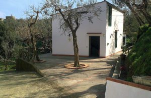  Dette hus ligger få kilometer fra Sorrento, et af de mest kendte områder på Sorrento halvøen. Ideelt udgangspunkt for udflugter til Amalfikysten, Napoli, Pompei og Capri. Det krystalklare vand ka ...