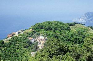  Lejlighed i et landhus 1 km. fra San Bernardino. I kommer til huset via en sti, og parketingspladsen er 100 m. væk. Herlig panoramaudsigt med et lille kig til havet. Klimaanlæg i opholdsrummet og i ...