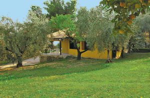  Charmerende lille hus (IRU449), er anneks af et større hus, samt en lille lejlighed (IRU460) i stueetagen af en moderne landejendom. Gæsterne har fælles og fri direkte adgang gennem haven til swim ...