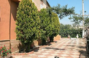  Hyggeligt hus på landet, oplagt til naturelskere og blot få kilometer fra Sciacca. På grunden bor ejers to små hunde samt høns i hønsegård. ...