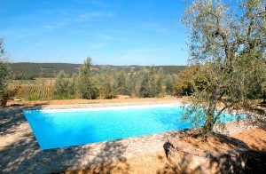  Tre lejligheder med egne indgange, hvoraf den ene af lejlighederne er ejernes. De ligger på en smuk gård i hjertet af Chianti-området. Flot udsigt. Roligt område. Hver lejlighed har et privat omr ...