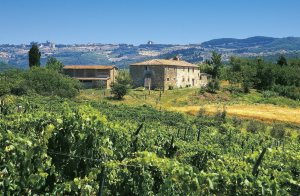  Tre selvstændige boliger på ejendommen Lilliano, der ligger i nærheden af Castillina in Chianti. Roligt beliggende med udsigt til vingårdene og Chiantis bløde bakker. Husene ITC800 og ITC801 har ...