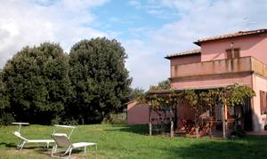  Hyggelige lejligheder (4 stk.) i et bondehus. Fra pergolaen med vinranker, har I en skøn udsigt til havet og sandstranden. Barneseng kan bestilles. Se også ITK126. ...