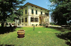  Stor villa med dependence, omgivet af en smuk, stor, indhegnet grund, dels med fyrreskove, i landlige omgivelser nær Lucca. Stor græsplæne, breændeovn, pavillon og en fælles swimmingpool med sal ...