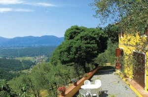  Lille renoveret hus roligt beliggende i bakkerne mellem Lucca og Viareggio. Vidstrakt udsigt over Luccas sletter og omliggende skove. Huset er omgivet af en naturplæne med oliventræer. Tilkørsel a ...