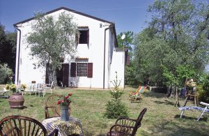  Skjult mellem oliventræer ligger dette storslåede hus, som delvist er udstyret med antikke møbler. Den ca. 1000 m2 dejlige have står til jeres rådighed. Her kan I nyde naturen i fred og ro...... ...