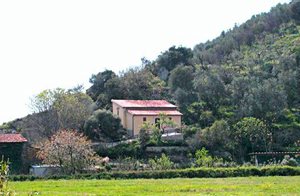  Dejligt feriehus mellem Lucca og Pisa. Ideel beliggende til at besøge de smukke byer i området. Det er muligt at bestille yderligere 2 sovepladser (afregnes på stedet). ...