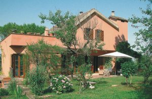  Skønt hus på grænsen mellem Umbrien, Latium og Toskana. 30 m. væk løber en vej forbi huset. Stueetagen har udsigt til et stort udendørs område med en skøn pergola, som er ideel til måltider  ...