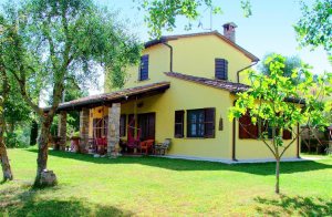  Indbydende landhus, der ligger på skråningen af en bakke på grænsen mellem Umbrien og Lazio. Roligt område med smuk udsigt over det omkringliggende landskab. Huset ligger på en stor grund og er ...