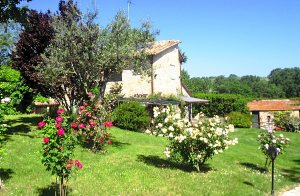  Pragtfuld landejendom, der er blevet renoveret og smagfuldt indrettet. Beliggende på en bjergskråning med udsigt til den skønne dal og den middelalderlige landsby Lugnano in Teverina. På bagsiden ...