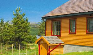  Feriehytte i flot skov- og fjeldterræn. Campingpladsen i nærheden har adgang til dele af kælderen. Gode fiskemuligheder, laks og ørred. Ekstra båd til leje. Nabo: 30 m. ...