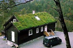  Feriehus i fredelige omgivelser med udsigt over vand, fjeld og skov. Gode fiske- og bademuligheder i vandet 200 m fra huset. ...