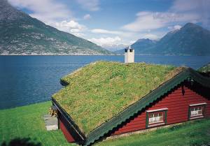  Utne ligger ved den maleriske Hardangerfjord, i hjertet af Hardanger. Her finder man disse hyggelige feriehuse i traditionel, norsk stil med græstag. Husene er indrettet med rustikke møbler i fyrre ...