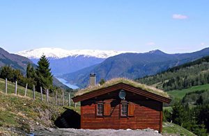  Hyggelig helårshytte med terrasse og udsigt over Sognefjorden og fjeldene rundt. Flot turterræn. Fiske i elv og fjord. Skiskyde arena for rulleski. Ingen nabohytter. ...