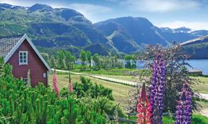  Feriehus i rolige omgivelser. Afskærmet udeplads. Gode fiskemuligheder i fjord, elv og fjeldvande (bl.a. ørred). Fin badeplads. Ekstra motorer kan lejes. 20 m til nærmeste nabo. ...