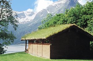  Hyggelig hytte, 30 m fra N26022. Fantastisk udsigt over vand og bræ. Tryg, fredelig beliggenhed. Fiskeri i sø og fjord. Godt udgangspunkt for dagsture til bl.a. Briksdalsbræen, Geirangerfjorden og ...