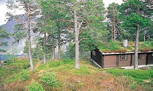  Bjælkehus beliggende i flot natur med dyr og fugle. Ugenert, panoramaudsigt over fjeld og fjorde. Fiskeri i sø og fjord. ...