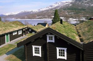  I et hytteområde i Sykkylven ligger denne moderne bjælkehytte med gedigent møblering og et veludstyret køkken. Hyg jer på den overdækkede, sydøstvendte terrasse og nyd udsikten mod Nysætervat ...