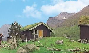  Hus i storslået fjeldterræn. Muligt at fiske i elve, ørredvand og fjord. Uden indlagt el og vand. Vand hentes ude (10 m). Innfjorden 14 km. Muligt at leje båd. 10 m til nærmeste nabo. ...