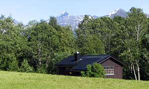  Hytte på panoramagrund ved ejers gård. Fredeligt sted i flot Romsdalsnatur. Fiske- og bademlg. Familievenlige forh. Åndalsnes 8 km. Toilet, bruser, vaskerum i annex, 5 m fra huset. ...