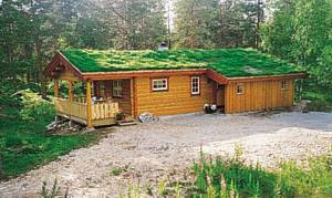  Hyggeligt kvalitetshus på østsiden af Femunden. Oplev den uberørte natur i nationalparkerne Femundsmarka og Gutulia. Fiskerig sø. Rafting mlg. 30 m til nærmeste nabo. ...